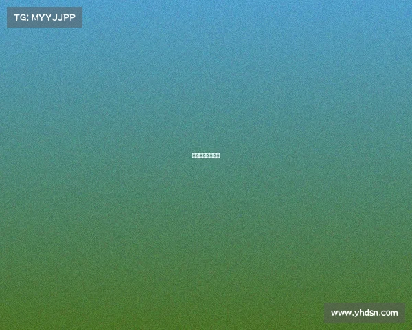 马术赛事策划组织